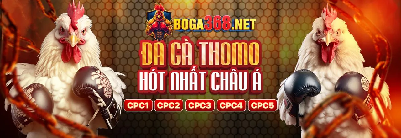 Hình ảnh đối tác cay388 nhà cái thể hiện sự hợp tác và thành công