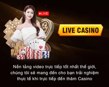 Chương trình VIP và ưu đãi đặc biệt